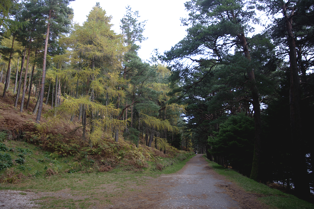 Glendalough07