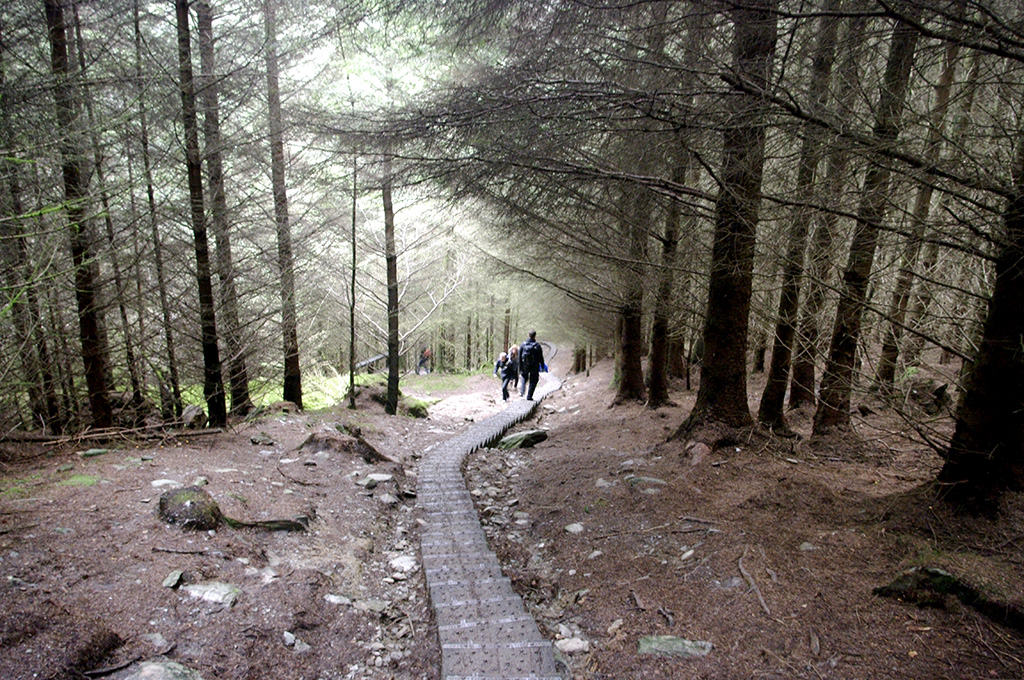 Glendalough14