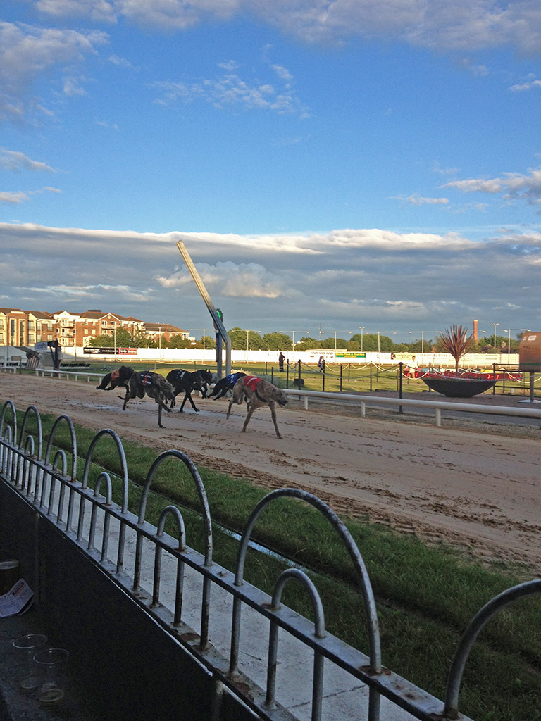 Greyhounds_Running_In_Dublin