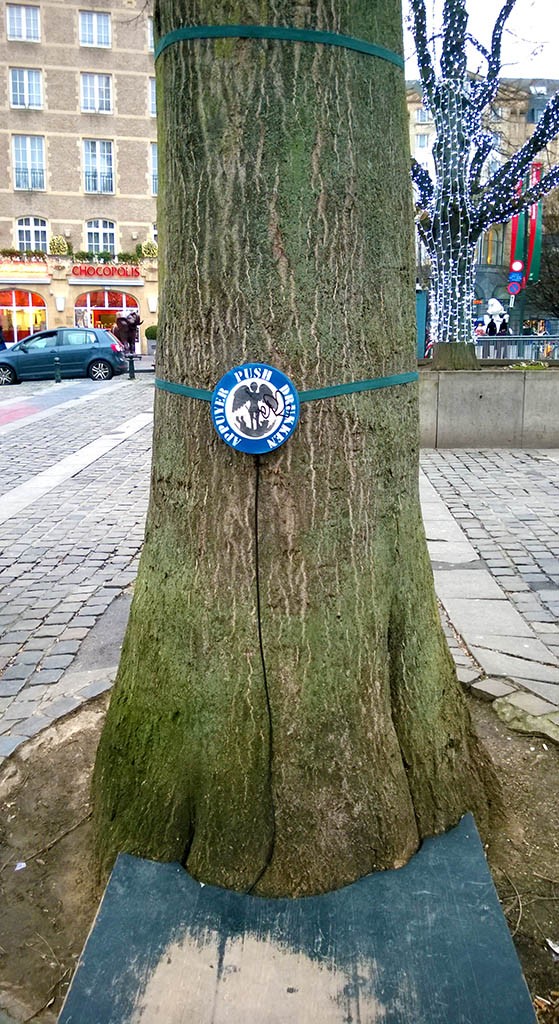 02_Wish_Tree_In_Bruxelles