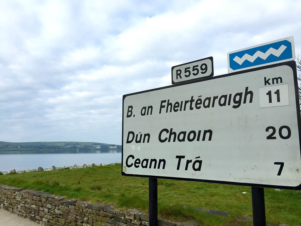 29_Dingle_Signs