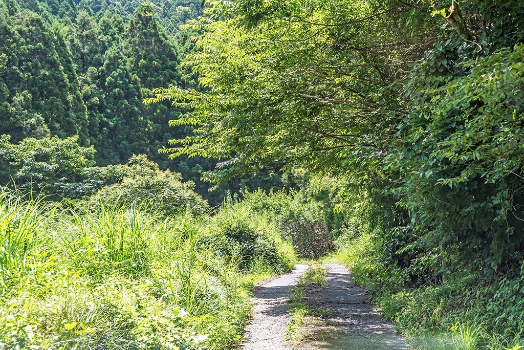 02-Fujieda-Very-Narow-Roads