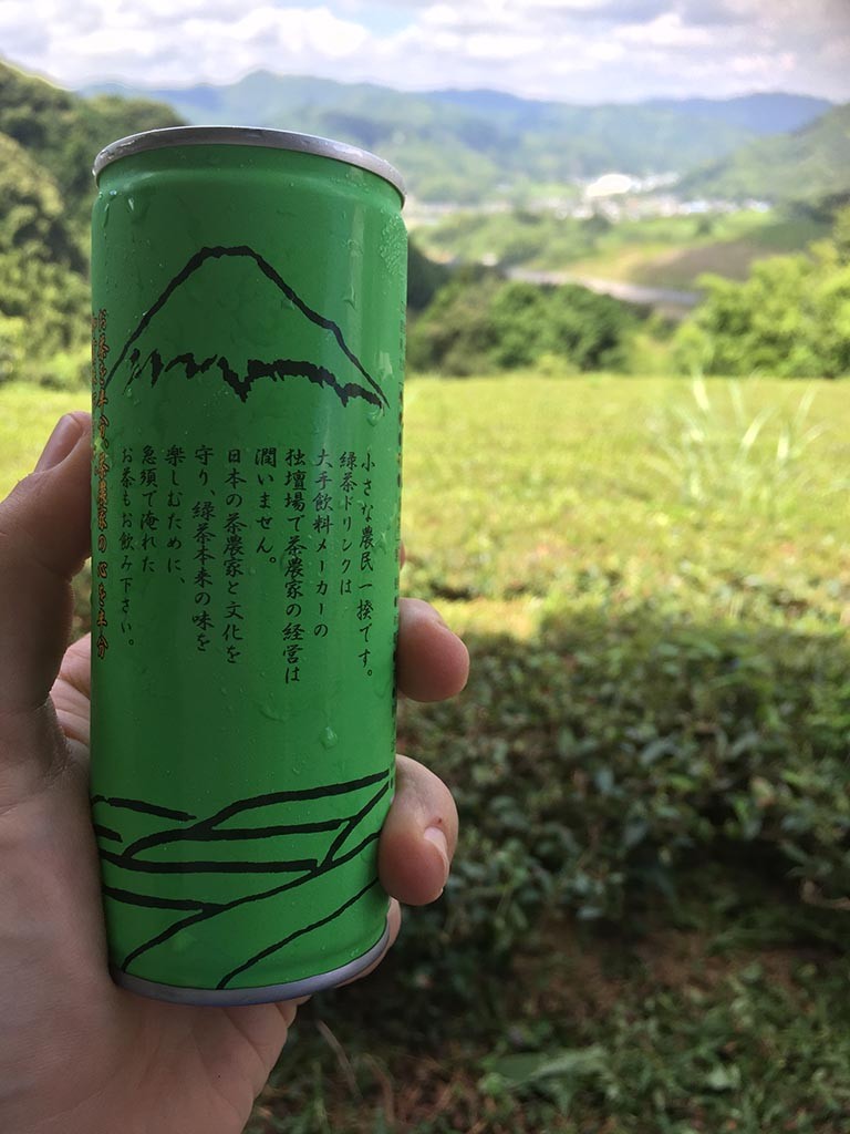 05-Green-Tea-From-These-Fields