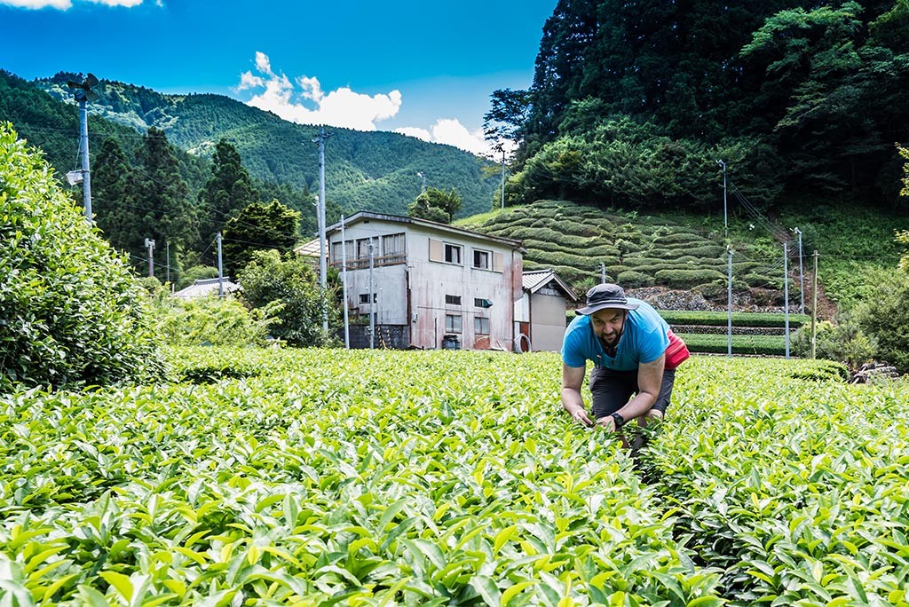 10-Me-In-The-Tea-Field