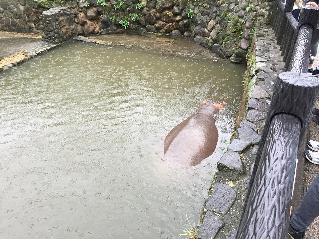 10-Hypos-In-Beppu-Japan