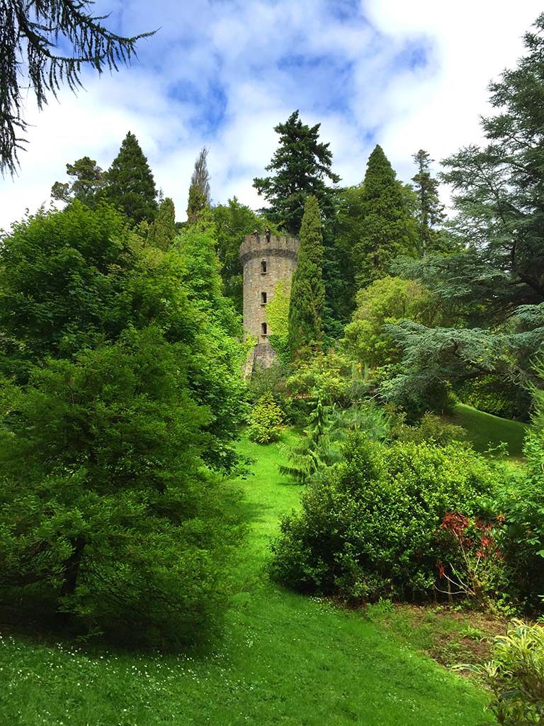 Arboretum-and-old-tower-in-Powerscourt